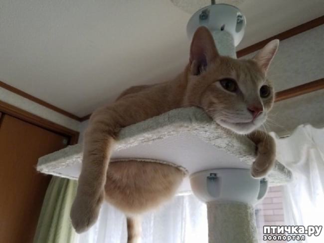 ���� 16: �������� ����������, � ������� ����� ��� ���� �����)))