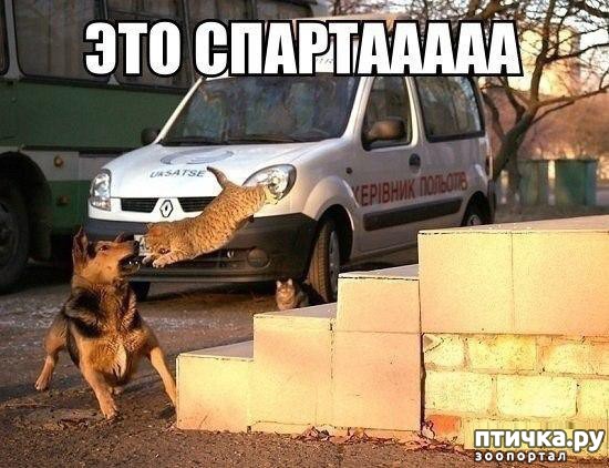 ���� 22: �������� ����������, � ������� ����� ��� ���� �����)))