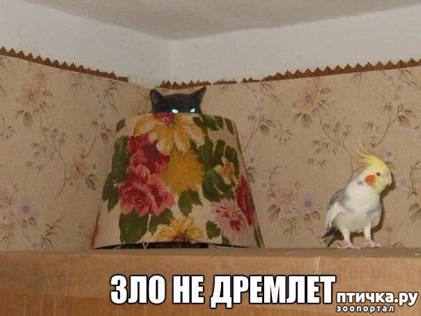 ���� 23: �������� ����������, � ������� ����� ��� ���� �����)))