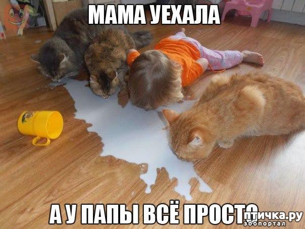 ���� 24: �������� ����������, � ������� ����� ��� ���� �����)))