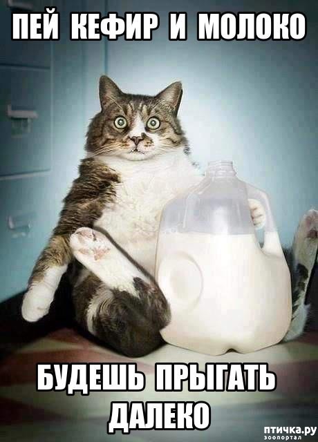 ���� 25: �������� ����������, � ������� ����� ��� ���� �����)))