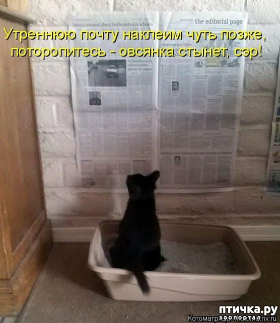 ���� 26: �������� ����������, � ������� ����� ��� ���� �����)))