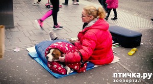 ����: � �������������� ��������� ����� ������� � ������ ������