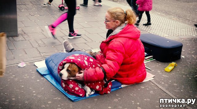 ���� 1: � �������������� ��������� ����� ������� � ������ ������