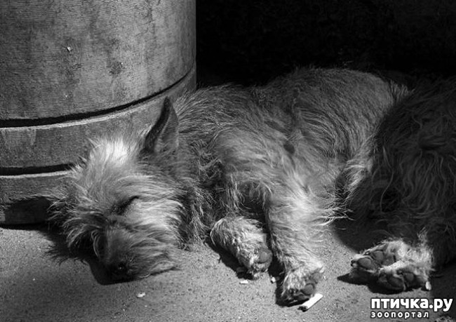 ���� 4: ������� ����� ������