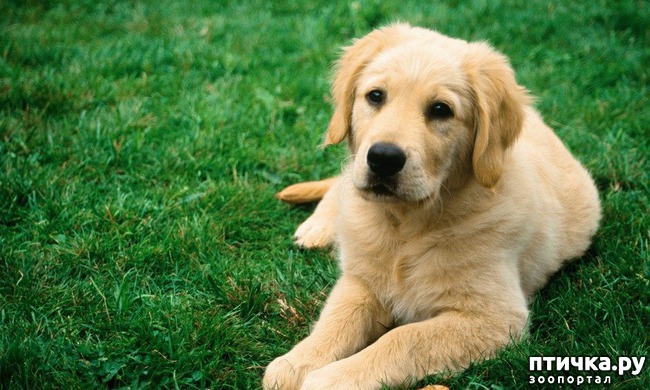 ���� 3: �����-����� 2