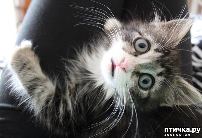 ���� 1: ������� �������� �������, ������� ����� ����� �������� �� ����