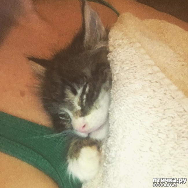 ���� 2: ������� �������� �������, ������� ����� ����� �������� �� ����