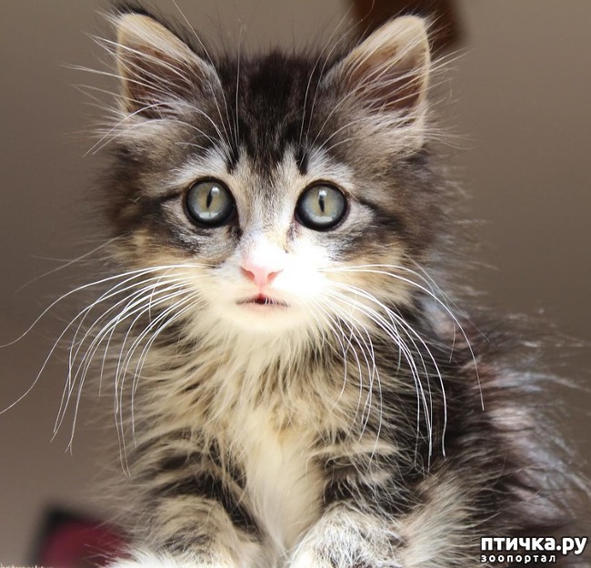 ���� 3: ������� �������� �������, ������� ����� ����� �������� �� ����