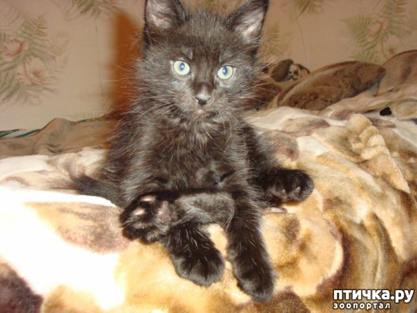 ���� 1: � ������� ����� ����� ������� ��� � ������