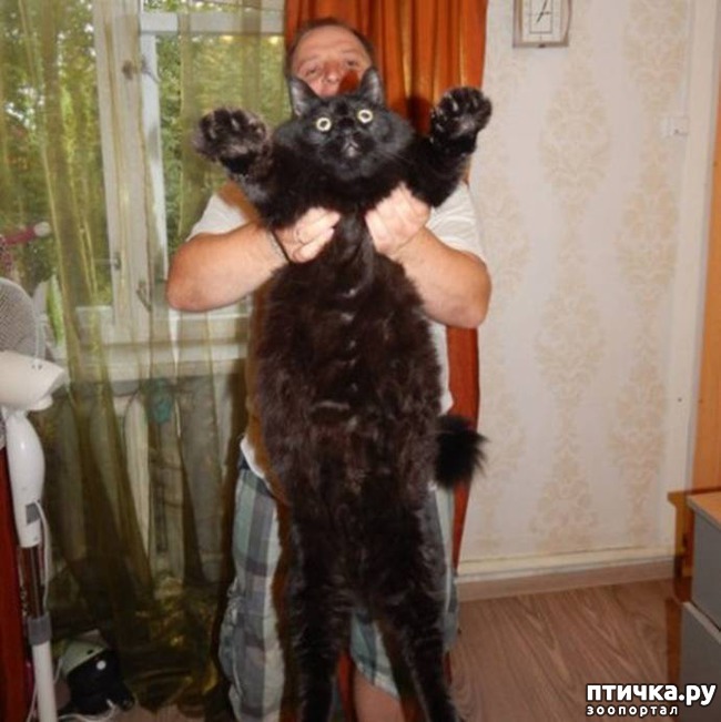 ���� 2: � ������� ����� ����� ������� ��� � ������