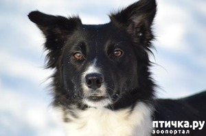 ����: �� ����� �������� ��������� �������, ������������ ����� �� ������