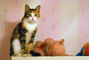 ����: ��� ��� ����� � ��� ��� �������