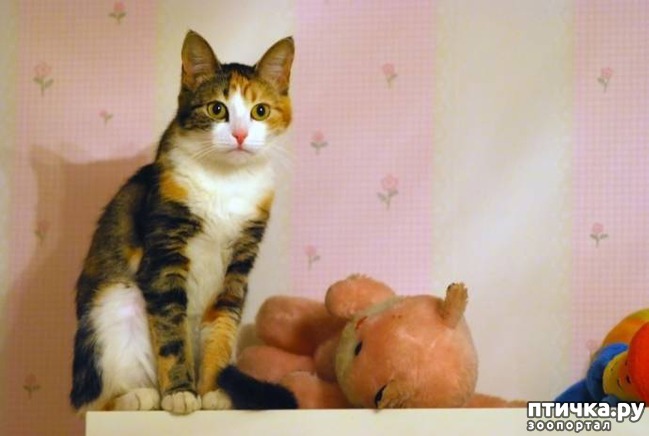 ���� 1: ��� ��� ����� � ��� ��� �������