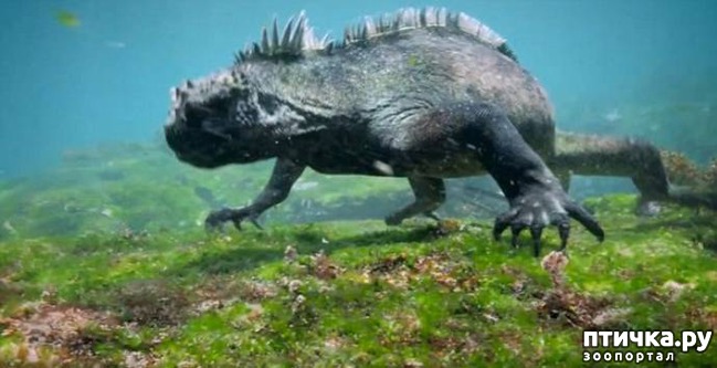 ���� 2: � ����� ������ ���������������� ������� ������ �� �������� ��������