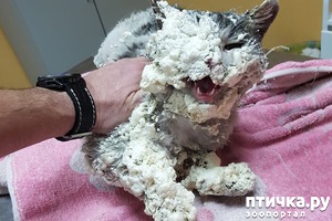 ����: � ������������� ������ ���������� �����, �������� � ��������� ����