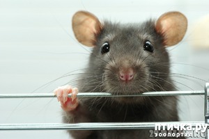 ����: �����-����� 3