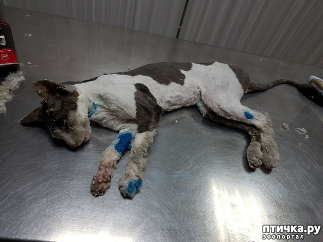 ���� 2: � ������������� ������ ���������� �����, �������� � ��������� ����