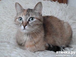 ����: ������ ����� ������ �� ��� ��������?