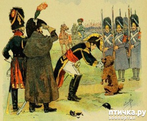 ����: ������� � ������� ������� ��������-������������ �������