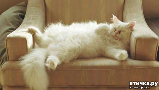 ���� 1: ��� ���� ����� �������� � ���� ����������