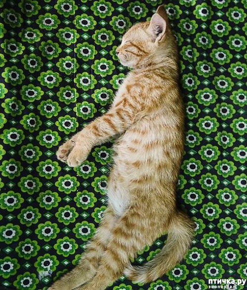 ���� 2: ��� ���� ����� �������� � ���� ����������