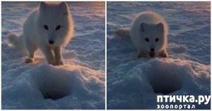 ����: ��� �� ������, �!�: ����������� ����� �������, ����� ��� �������� ������, � ��� ������ ������