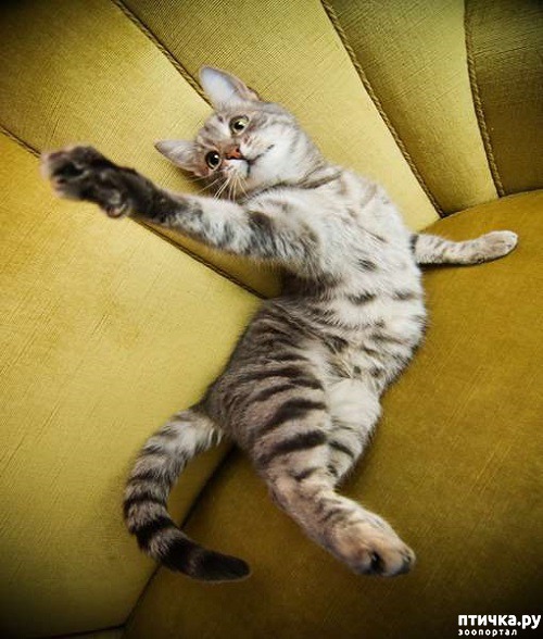 ���� 5: ��� ���� ����� �������� � ���� ����������