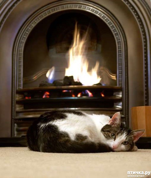 ���� 7: ��� ���� ����� �������� � ���� ����������