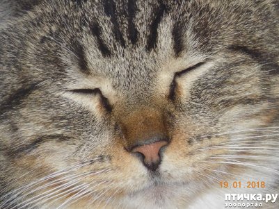 ���� 2: ������� ���������