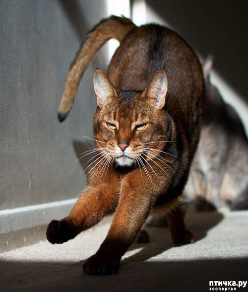 ���� 10: ��� ���� ����� �������� � ���� ����������