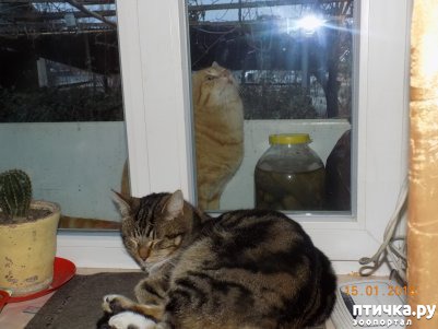 ���� 1: ������� ���������