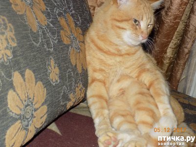 ���� 6: ������� ���������