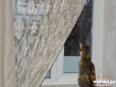 ���� 8: ������� ���������