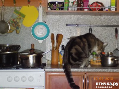 ���� 9: ������� ���������