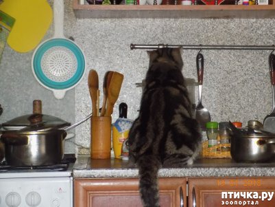 ���� 11: ������� ���������