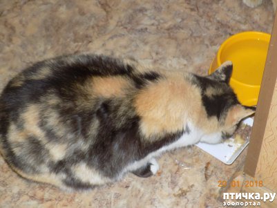 ���� 13: ������� ���������