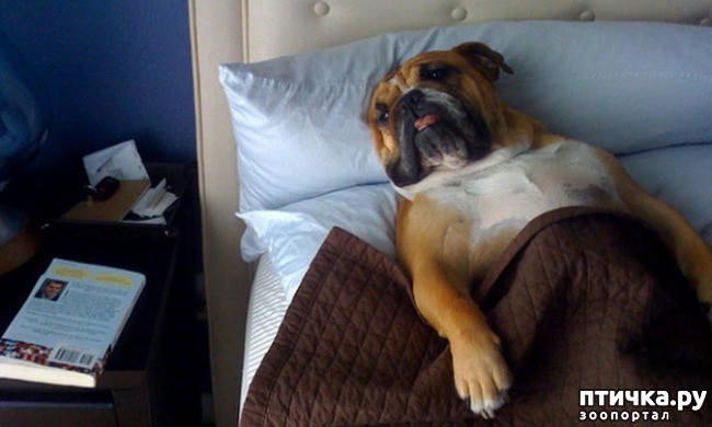 ���� 1: ������, ������� ���� � ����� �������, � ������ ��� �����!