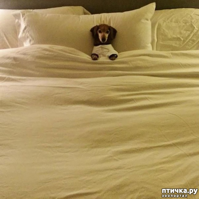 ���� 3: ������, ������� ���� � ����� �������, � ������ ��� �����!