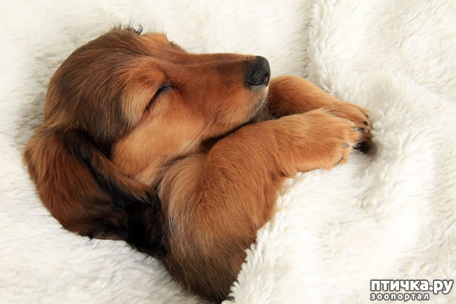 ���� 10: ������, ������� ���� � ����� �������, � ������ ��� �����!