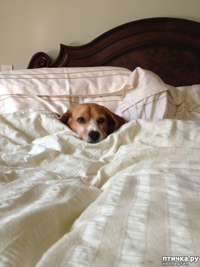 ���� 12: ������, ������� ���� � ����� �������, � ������ ��� �����!