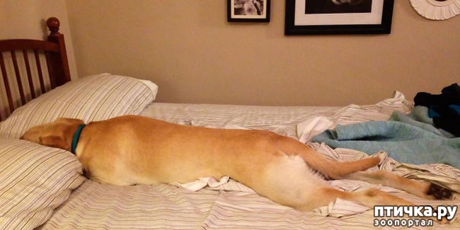 ���� 13: ������, ������� ���� � ����� �������, � ������ ��� �����!