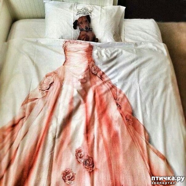 ���� 15: ������, ������� ���� � ����� �������, � ������ ��� �����!