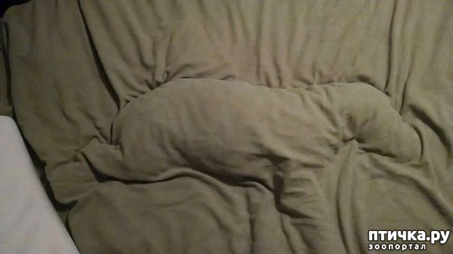 ���� 17: ������, ������� ���� � ����� �������, � ������ ��� �����!