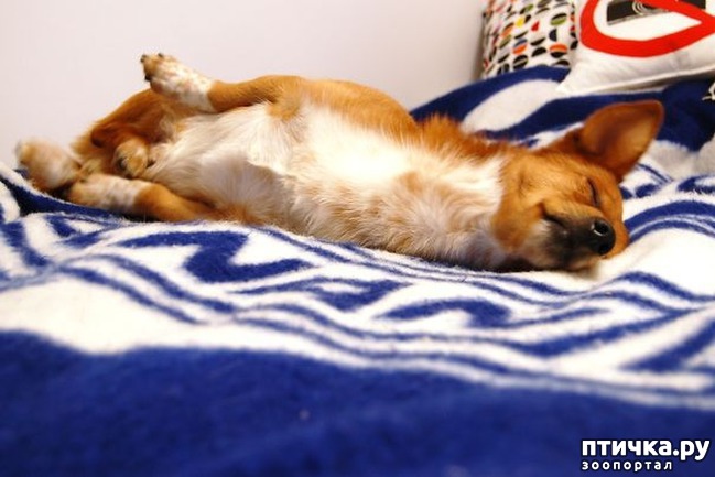 ���� 18: ������, ������� ���� � ����� �������, � ������ ��� �����!