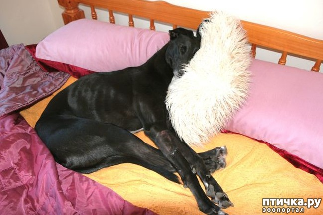 ���� 20: ������, ������� ���� � ����� �������, � ������ ��� �����!