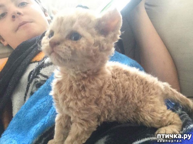 ���� 1: �������� ������� ������ �������-���� ����������� � ��������