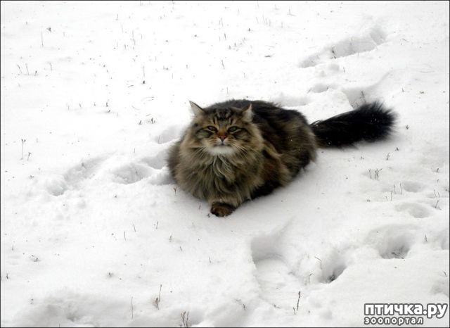 ���� 7: ���� �� �����)))