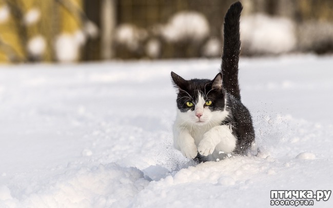 ���� 14: ���� �� �����)))