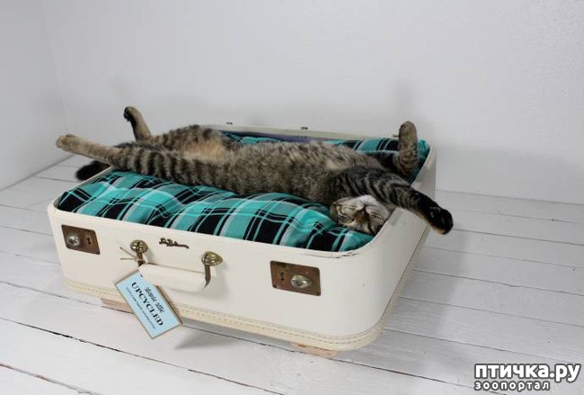 ���� 4: � ������ � �����